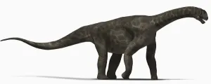 Illustrationen 1 Drucke: Kamerasaur, Seitenansicht