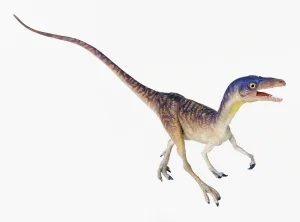 Compsognathus