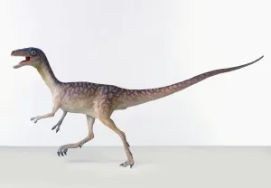 Kompsognathus, Modellrekonstruktion eines zweibügeligen Fleischfressenden Theropoden-Dinosaurier