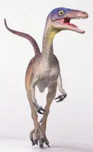 Kompsognathus, Seitenansicht mit Kopf zur Seite gedreht