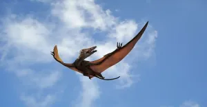 Illustrationen 1 Drucke: Eudimorphodon im Flug