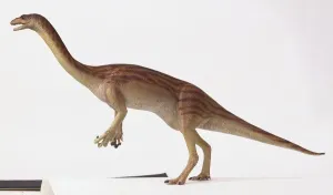 Prehistoric Animals Drucke: External features of a Anchisaurus