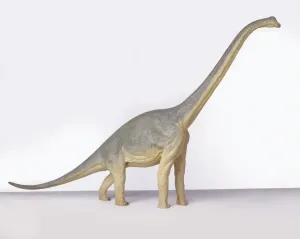 Modell von Brachiosaurus, Seitenansicht