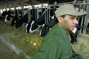 Farmers At Work Drucke: Farm
