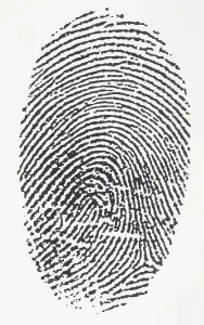 Fingerprint
