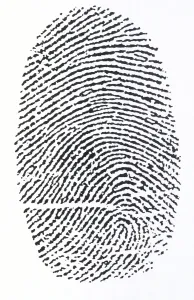 Drucke von Fingerprint Wissenschaft Und Technologie Drucke: Fingerprint