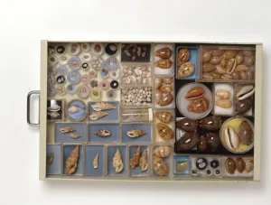 Studio-Aufnahme Drucke: Große Sammlung von Schalen im Schrank