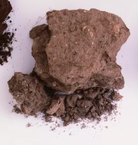 Geology Studio Shot Drucke: Sample of chalk soil