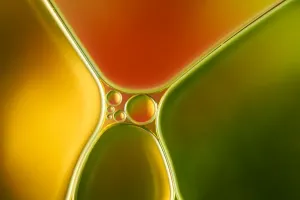 Perth Drucke: ABSTRACTS