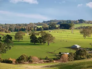 Australian Scenic Landscapes Drucke: Adelaide Hills