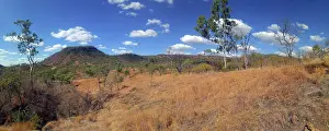 Blue Sky Landscapes Drucke: Australian Bush