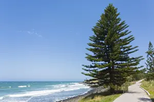 New South Wales Scenic Views Drucke: Beach Path Boardwalk