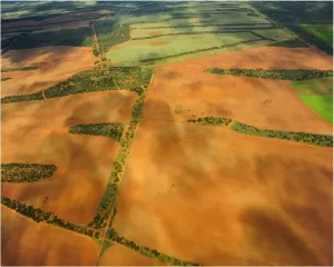 South Australia Landscape Photography Drucke: Patchwork fields
