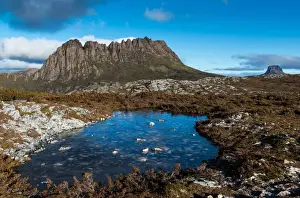 Cradle Mountain Tasmania Drucke: Icy Cradle Mountain