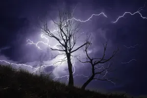 Drucke von Australien, Blitz im stürmischen Himmel über einen toten Baum in den Blauen Bergen Blitzeinschlag Drucke: Donnersturm über einen toten Baum