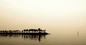 Australian Seascapes Photography Drucke: Lost in the Fog