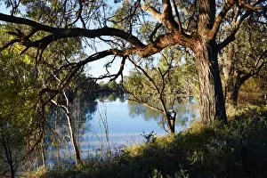 Murr River
