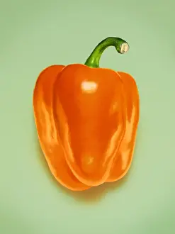 Drucke von Orangenschpeckel auf einem hellgrünen Hintergrund Pop-Art Drucke: Orangenschotenpeper