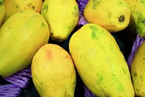 Payaya