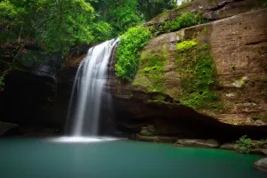 Wasserfälle im Wald