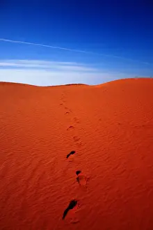 Australian Desert Landscapes Drucke: Red sand dunes