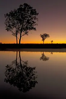 Nature Beauty Images Drucke: Rural reflections