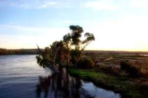 Murr River