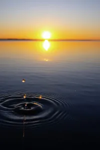 Serene Water Reflections Drucke: Sunset Splash