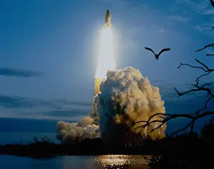 Aerospace Industry Images Drucke: Aerospace Industry, Bird, Countdown, Dusk, Evening, Exploration, Final Frontier, Flying