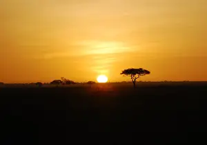 UNESCO World Heritage Site Pictures Drucke: African sunset
