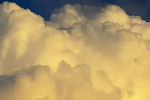 Cumulus Cloud Photography Drucke: Altocumulus clouds in the evening sky