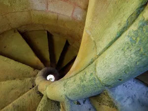 Spiral Staircase Design Drucke: Fibonacci
