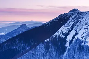 Snowy Mountain Ranges Europe Drucke: area, backdrops, break, central, chains, coniferous, countryside, covered, eastern