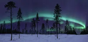 Die Auroras und der große Bären