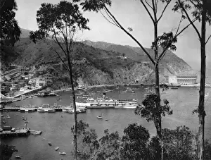 Vintage Harbour Scene Drucke: Avalon Bay