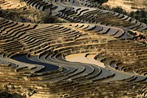 Yunnan Province Landscape Drucke: Bada Terrace pattern