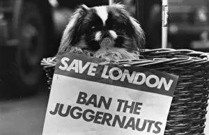 Black And White England Landscape Drucke: Ban The Juggernauts