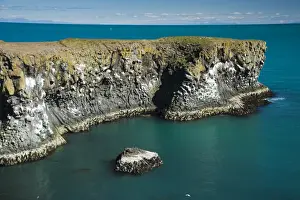 Volcanic Rock Formations Iceland Drucke: Basalt columns, cliffs on the coast near Arnarstapi