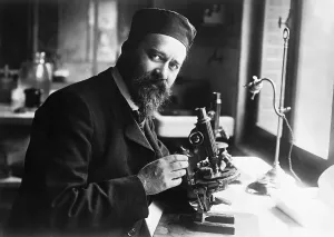 Microscope Laboratory Equipment Drucke: Albert Calmette Working With Microscope