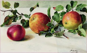 Still Life Apples Drucke: Apples Lying on Table