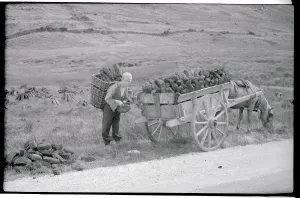 County Kerry Landscape Drucke: Boy Loading Peat into Wagon