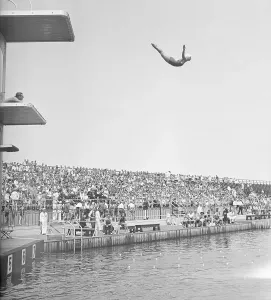 Vintage Swimwear Models Drucke: Dorothy Poynton Diving