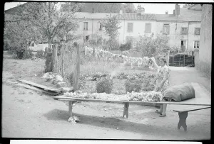 French Village Life Drucke: Drying and Sorting Wool