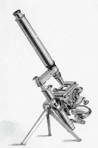Rare 19th Century Prints Drucke: Folding Microscope; Engraving