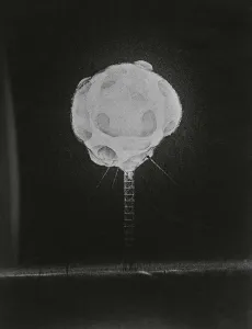 High Speed Photography Drucke: High Speed Camera Capturing Explosion