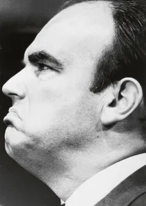 Johann Erichmann