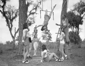 Circus Performers Drucke: Learning to Do It with Greatest of Ease