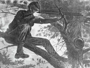 Mann schießt aus einem Baum mit Gewehr