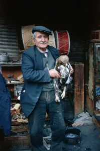 Istanbul Grand Bazaar Drucke: Man With Eagle