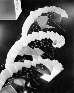 DNA Molecule Structure Drucke: Model Of Dna Molecule